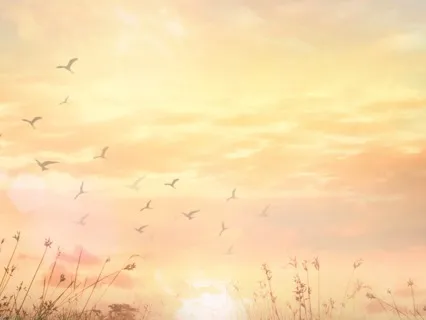 Meditation For Sunrise