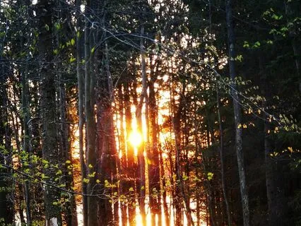 Meditation For Superior Sleep With Binaural Tones