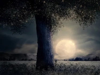 Meditation For Sweet Dreams: The Forest Grove 