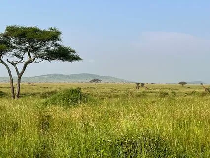 Meditation för tankar & känslor