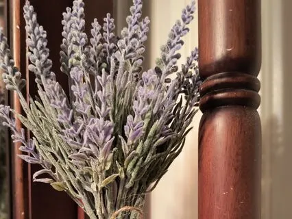 Meditation For The Chinese New Year 2025: Year Of The Snake