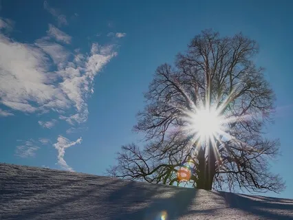 Meditation For The Memory