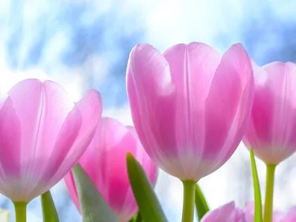 Practice For The Month Of Libra 