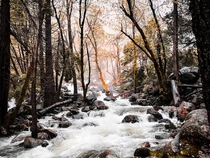 For Those In Need Of Physical Touch