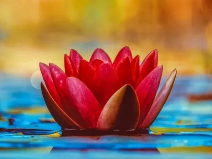 Meditation For Times When We Are Overburdened 