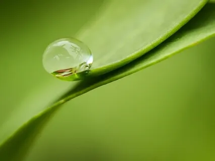 Meditation For Traders | Preparing For Trading Day