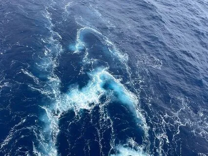 Meditation For Transitions In Life