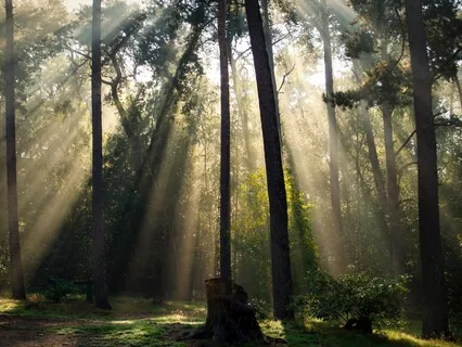 Travel To Your Happy Place And Release Stress And Tension