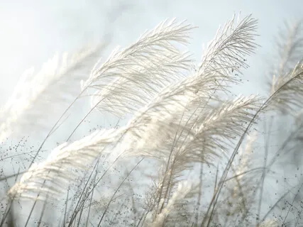 Meditation For Uncertain Times