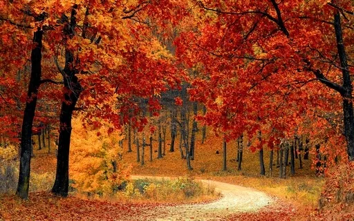 Meditation For Vagus Nerve Stimulation