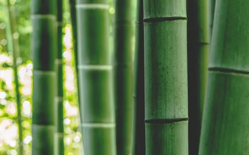 Meditation For Vitality When Sick Or Recovering