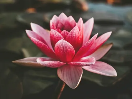 Meditation For Warm-Heartedness (Metta LovingKindness)