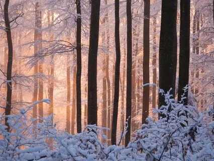 Meditation For Warming The Spirit During Winter Months