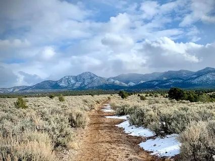 Meditation For When You Feel Overwhelmed