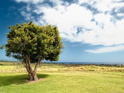 Meditation For When You Feel Stuck