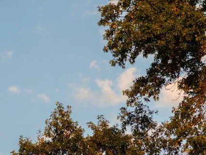 Meditation For When You're Feeling Overwhelmed