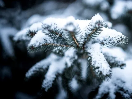 Working With Difficulties