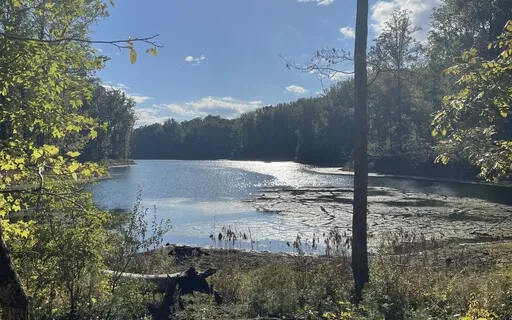 Meditation For Your Highest Good