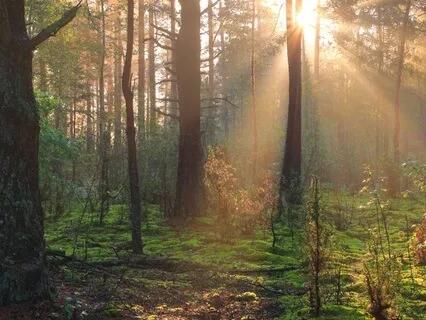 Meditation From Groundlessness/Feet On The Ground