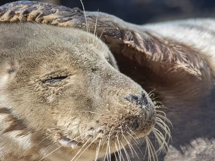 Meditation From Happiness Without A Hangover