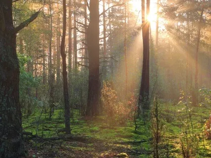 Meditation From Learning To Stop Strategizing