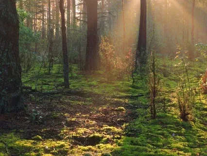 Meditation From The End Of Suffering