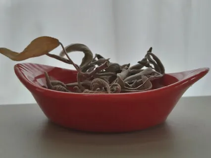 Meditation: Giving An Existing Idea More Sparkle