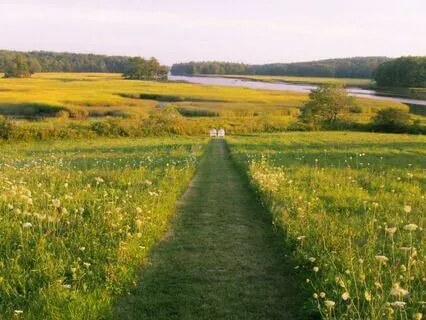 Meditation For Busy Days: 6 Minutes To Focus On Your Back