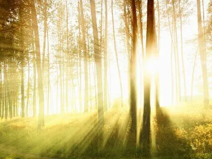 Meditation Guide For Busy Days "I Have Two Minutes"