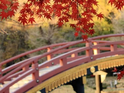 Heart Chakra Sound Meditation - Note F2 (Compassion, Love & Beauty - Energy Of Transformation)