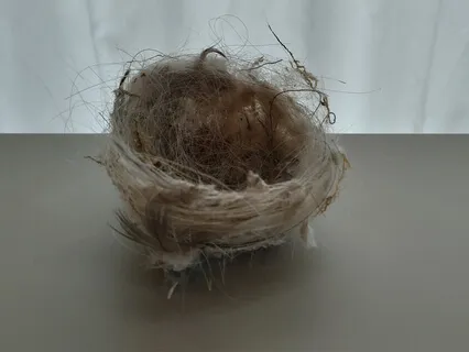 Meditation: Helping To Elaborate A Concept