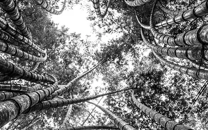 Meditation I - Earth (Instrumental)