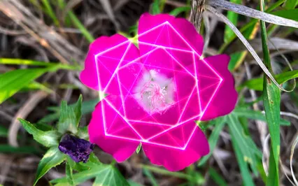 Meditation In Befriending Anxiety