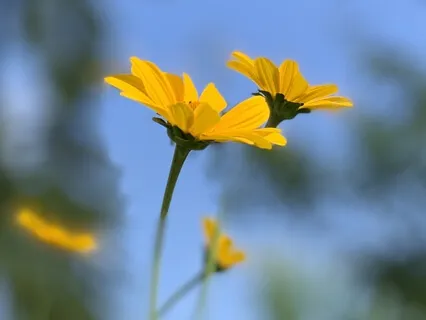 Guided Meditation In Movement