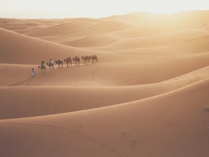 Meditation In The Desert - Music For Mindful Awareness