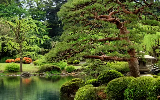 Meditation In Word, Song & Prayer - Psalm 98 & 101