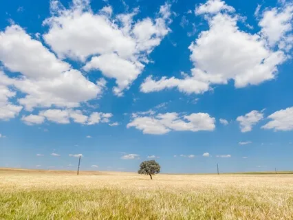 Incorporating Meta-Awareness, Dis-Identification And Non-Reactivity To Promote Self-Transcendence