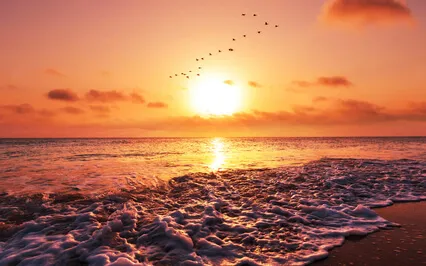 [Meditation] Infinite Peace