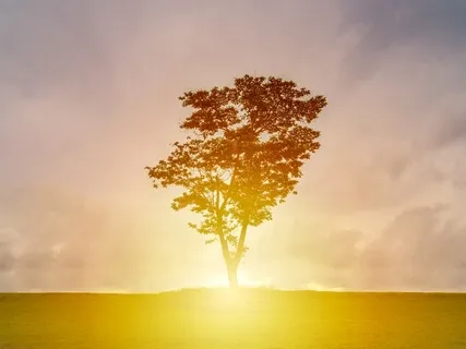 Meditation To Access Conscious Contact With Your Highest Self