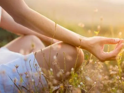 Meditation Is Attention Training