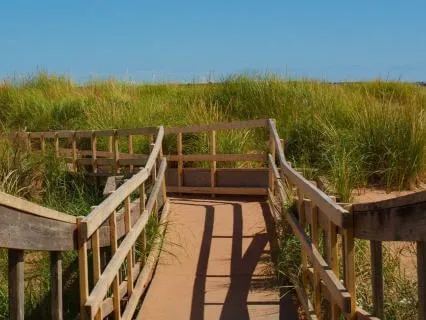 Meditation Is The Practice, Mindfulness Is The Path