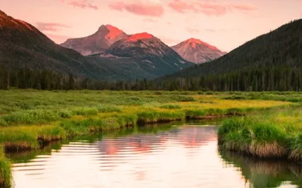 Meditation Is To Free Relations From Disorder