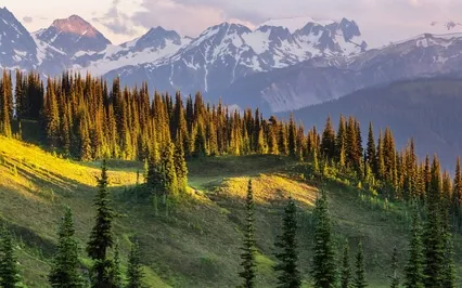 Meditation Is To Gather The Energy To Leave Mainstream