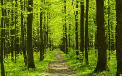 Meditation Is To Live Fully At This Timeless Moment