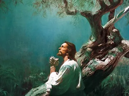 Guided Practice: Meeting Jesus In The Olive Trees