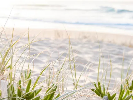 Meditation Journey | A Nourishing Guided Practice | 35 Minutes