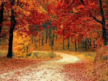 Meditation Journey To Love - Solfeggio 528 Hz