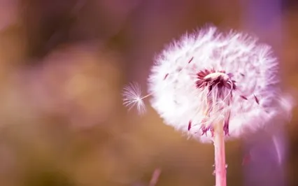 Meditation Kriya To Let Go Of Stress And Negativity