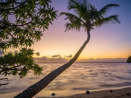 Meditation Land (Natural Healing)