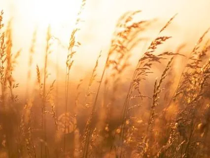 Meditation: Let Go Of Control With Grace